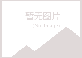 平山区字迹美容有限公司